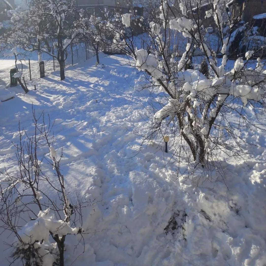 Guest House Raffe Dobrinishte Exterior foto